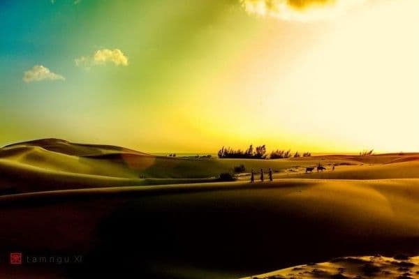 Bau Trang (White Sand Dunes)